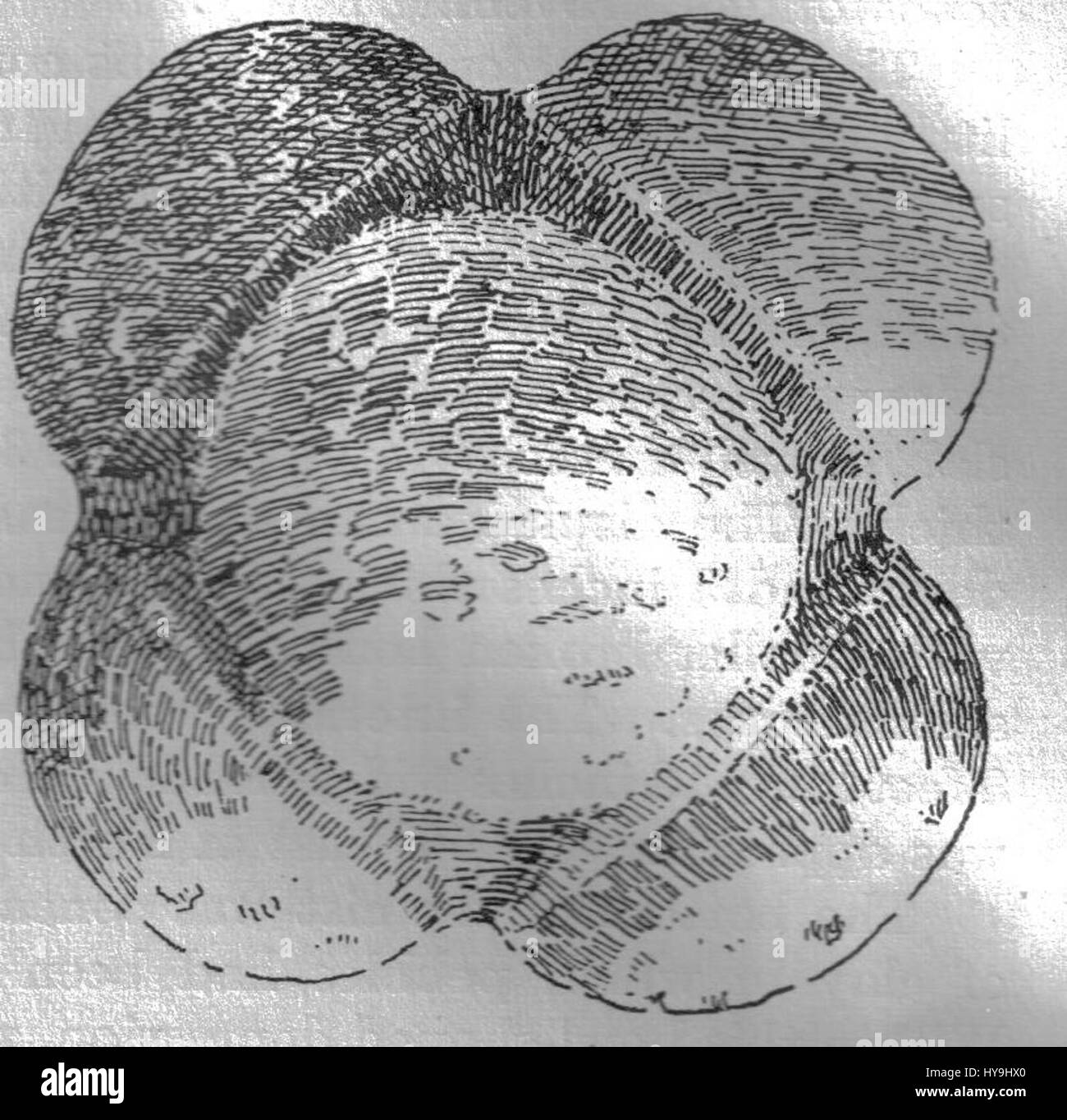 La boule de pierre sculptée Golspie, un artefact préhistorique, présente des sculptures complexes et a probablement été utilisée au cours du néolithique ou du début de l'âge du bronze en Écosse, offrant un aperçu de la culture et de l'artisanat écossais. Banque D'Images