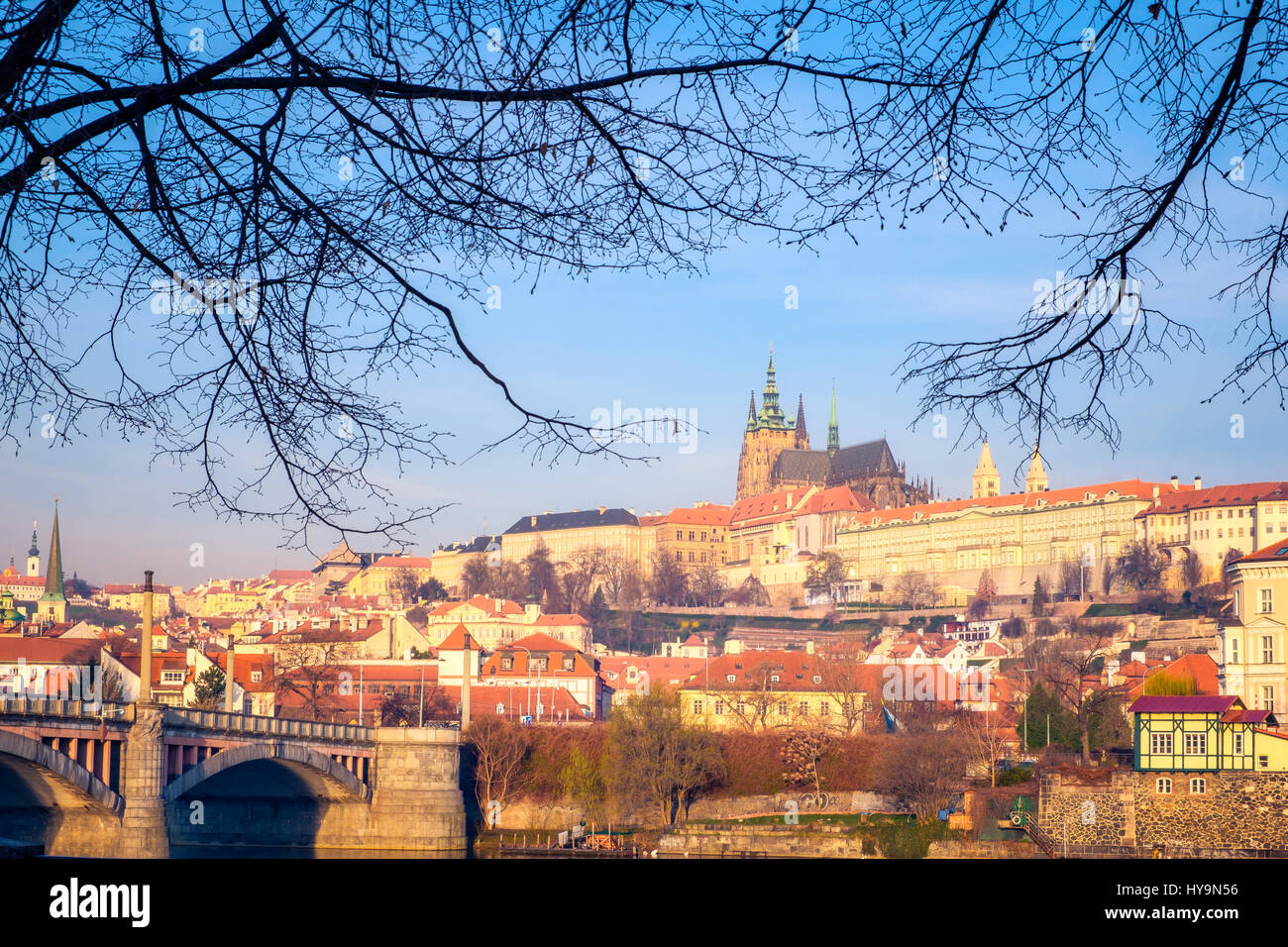 Vue sur le château de Prague Cityscape encadrée dans les branches d'arbres, République Tchèque Banque D'Images