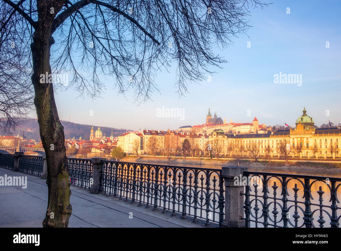 Cityscape vue sur le château de Prague avec l'arbre en premier plan, République Tchèque Banque D'Images