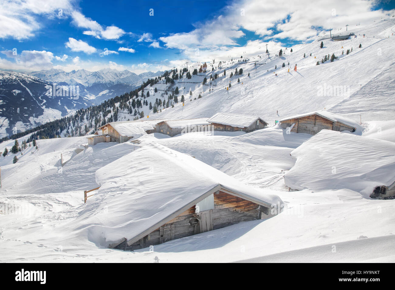 Arbres couverts par de la neige fraîche dans les Alpes autrichiennes, Zillertal Banque D'Images