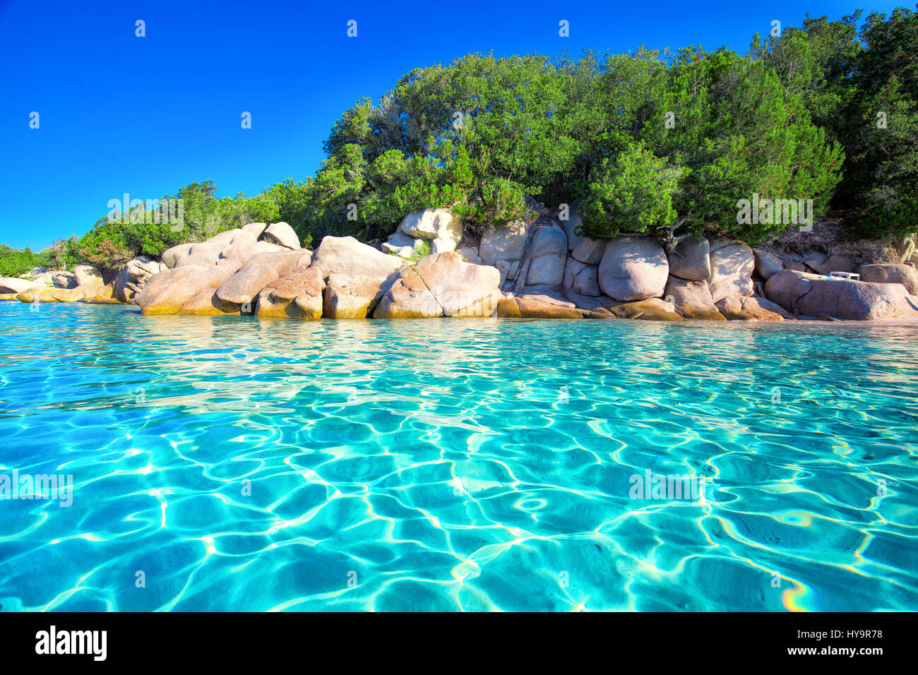 Plage de la plage de Palombaggia et de pins et d'azur de l'eau claire, Corse, France, Europe. Banque D'Images