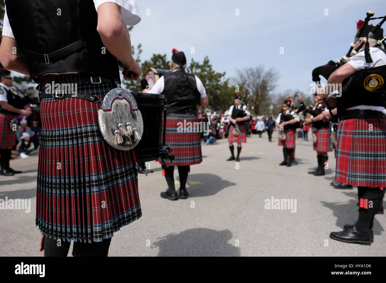 Stratford, Ontario, Canada, 2e Apr, 2017. Stratford Police Pipe Band joue pour des milliers de personnes qui se sont réunis pour le défilé annuel de la Stratford Swan, lorsque la ville de cygnes retour à la rivière Avon, dans la célébration de l'arrivée du printemps à Stratford, Ontario, Canada. Credit : Rubens Alarcon/Alamy Live News. Banque D'Images