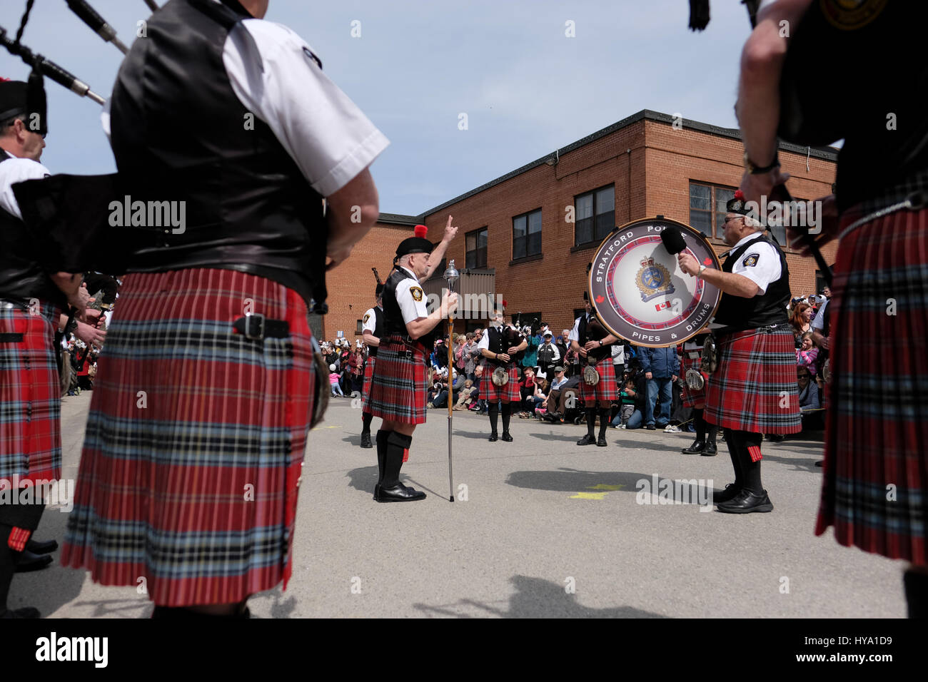 Stratford, Ontario, Canada, 2e Apr, 2017. Stratford Police Pipe Band joue pour des milliers de personnes qui se sont réunis pour le défilé annuel de la Stratford Swan, lorsque la ville de cygnes retour à la rivière Avon, dans la célébration de l'arrivée du printemps à Stratford, Ontario, Canada. Credit : Rubens Alarcon/Alamy Live News. Banque D'Images