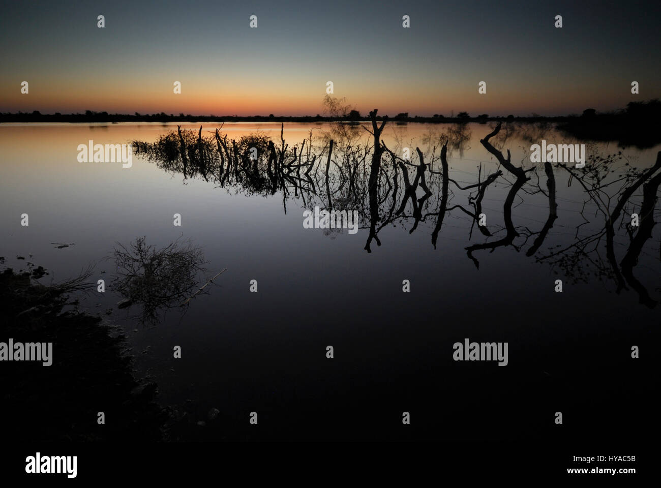 Coucher de soleil sur flooing saisonniers dans la rivière Boteti, Botswana Banque D'Images