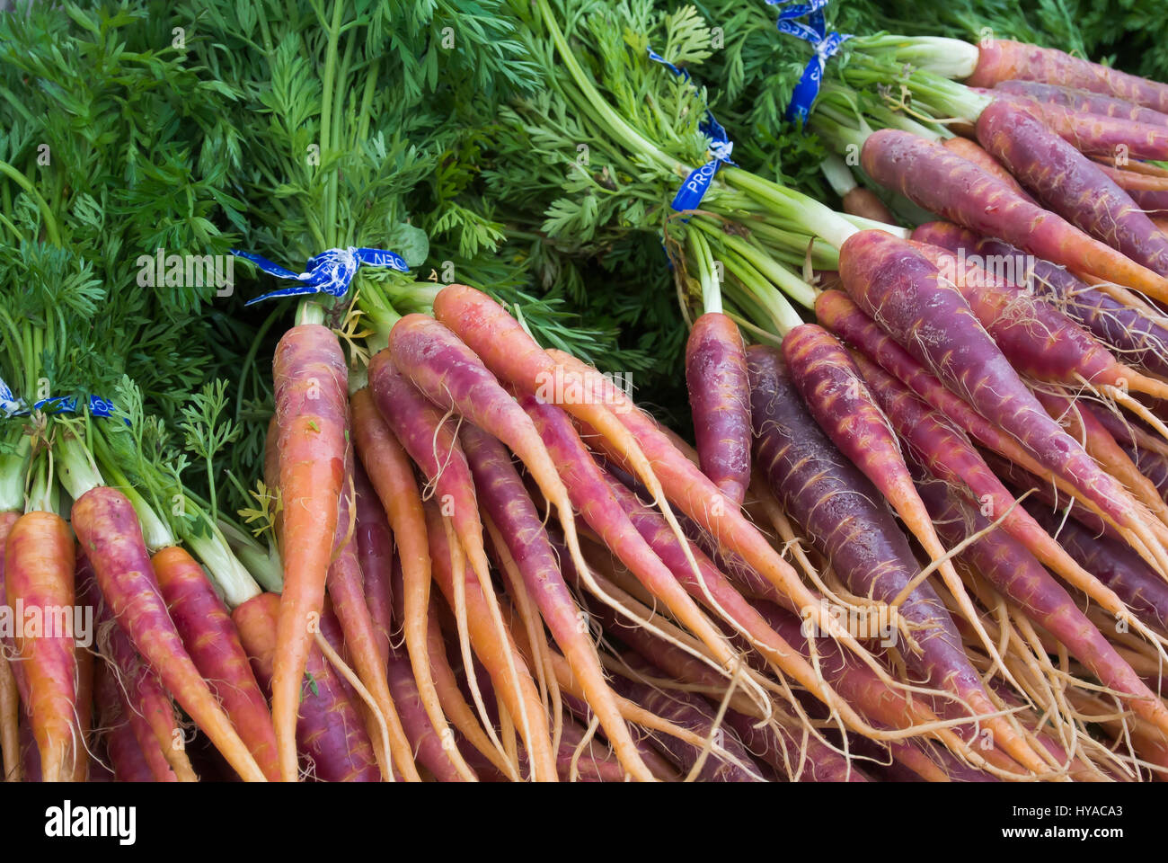 Les carottes sur l'affichage à l'achat Banque D'Images
