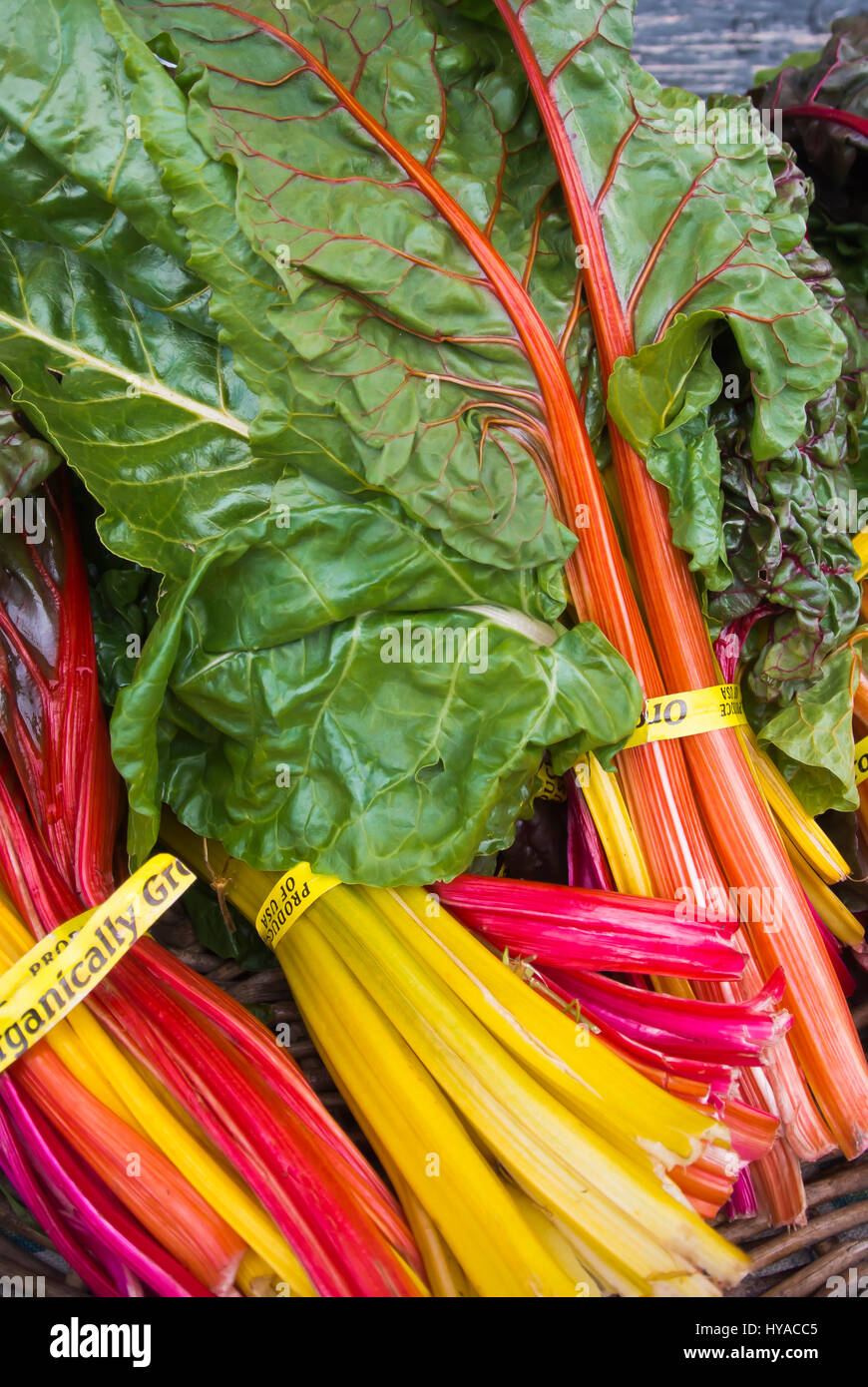 Rainbow Chard sur l'affichage à l'achat Banque D'Images