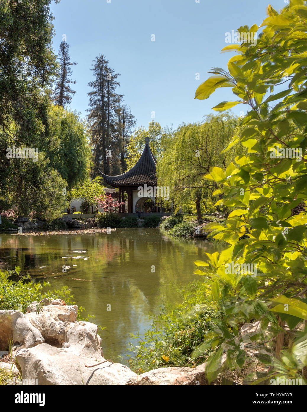 Los Angeles, Californie, le 1 avril 2017 : le jardin chinois au Jardin botanique de Huntington dans le sud de la Californie, aux États-Unis. Usage éditorial uniquement. Banque D'Images