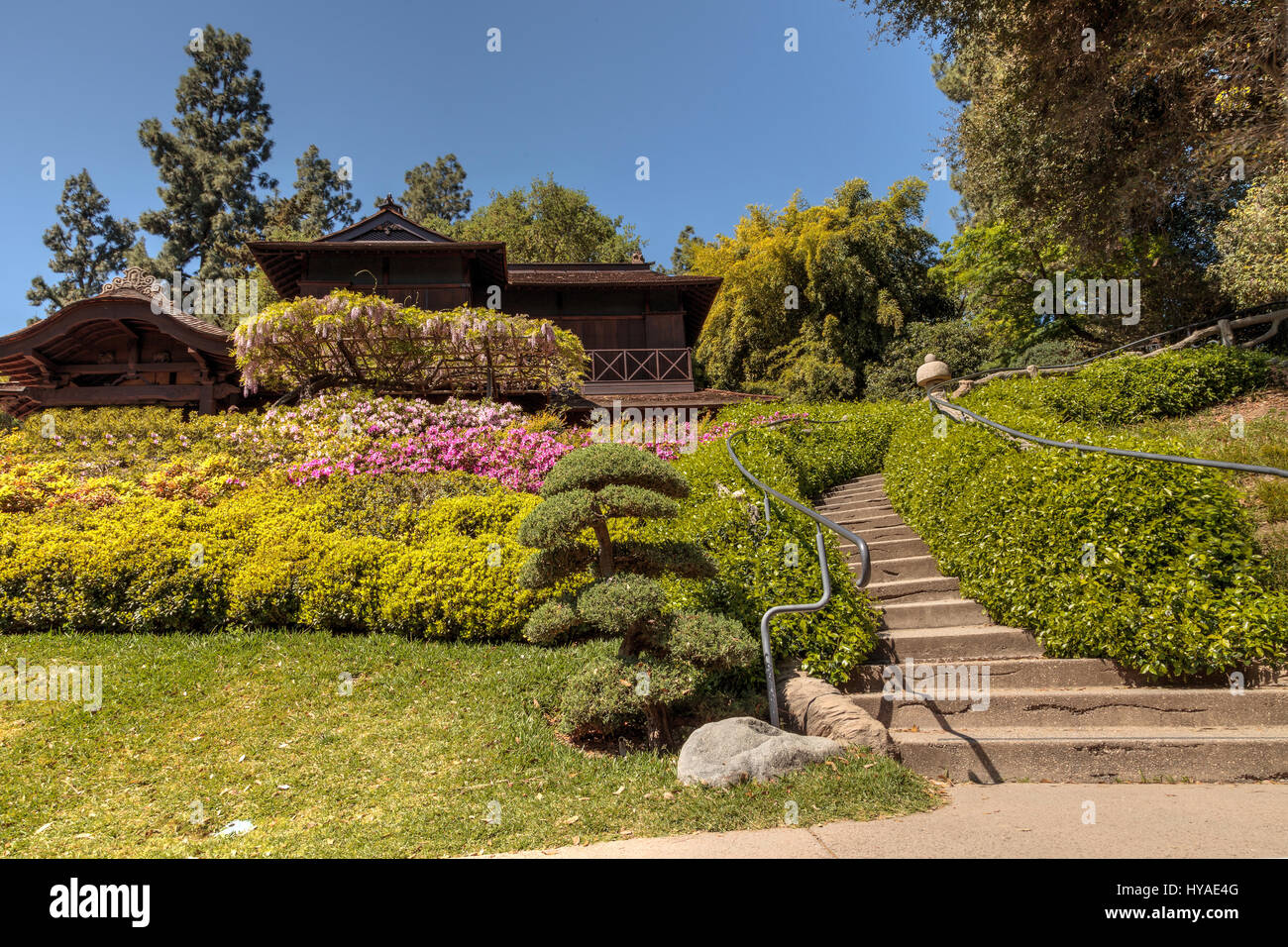 Los Angeles, Californie, le 1 avril 2017 : le jardin japonais du Jardin botanique de Huntington dans le sud de la Californie, aux États-Unis. Usage éditorial uniquement. Banque D'Images