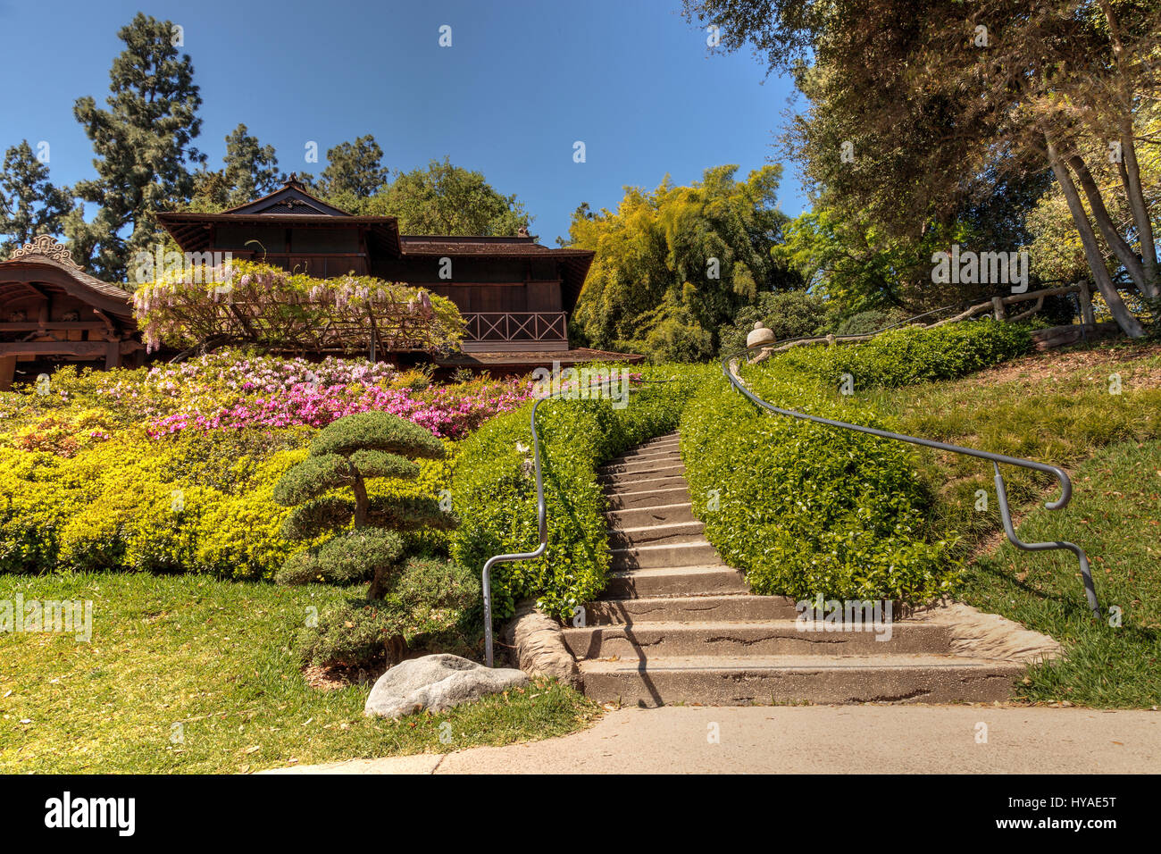 Los Angeles, Californie, le 1 avril 2017 : le jardin japonais du Jardin botanique de Huntington dans le sud de la Californie, aux États-Unis. Usage éditorial uniquement. Banque D'Images