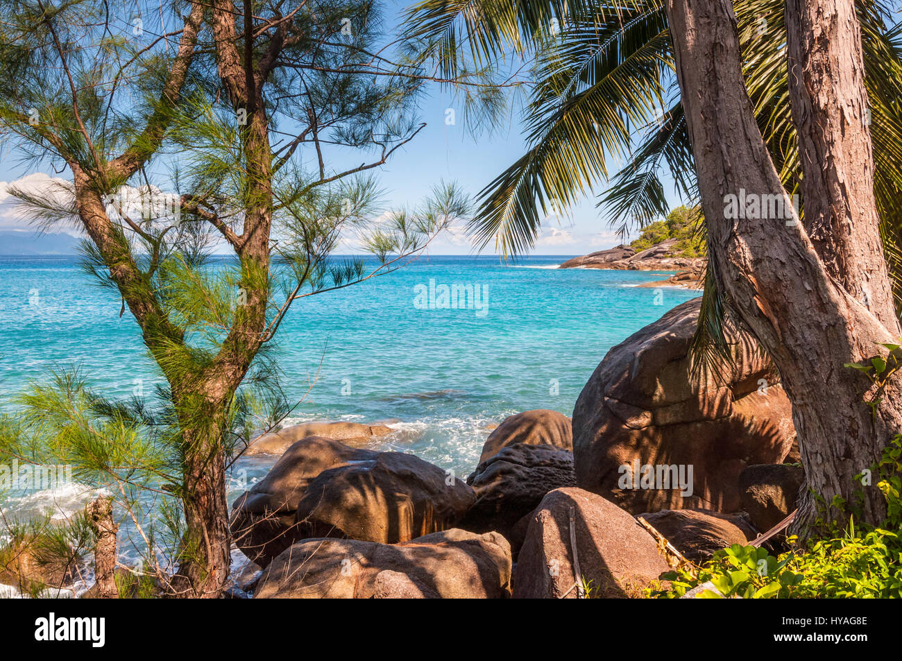 Voir l'anse du grand sentier nature sur le littoral rocheux de l'île de Mahé et les arbres contre l'océan bleu à l'avant-plan Banque D'Images