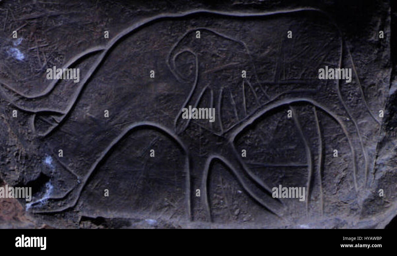 'Prehistory draa3' est une référence aux premiers stades de l'histoire humaine avant les documents écrits. Ce titre peut faire référence à une exploration artistique ou historique des temps préhistoriques, y compris les développements culturels et technologiques clés. Le sujet inclut probablement des thèmes de la vie humaine précoce, de l'art et du contexte environnemental des civilisations préhistoriques. Banque D'Images