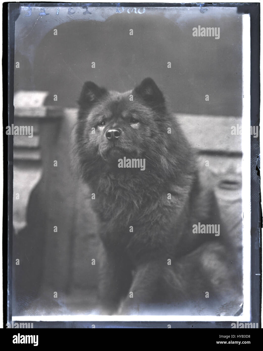 DKW 32102 Dow L (17562016521) Banque D'Images