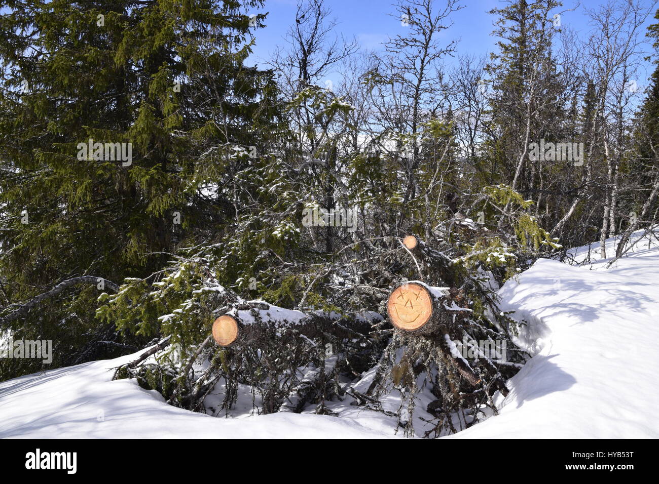 Fallmoran, Storhogna, Suède Banque D'Images