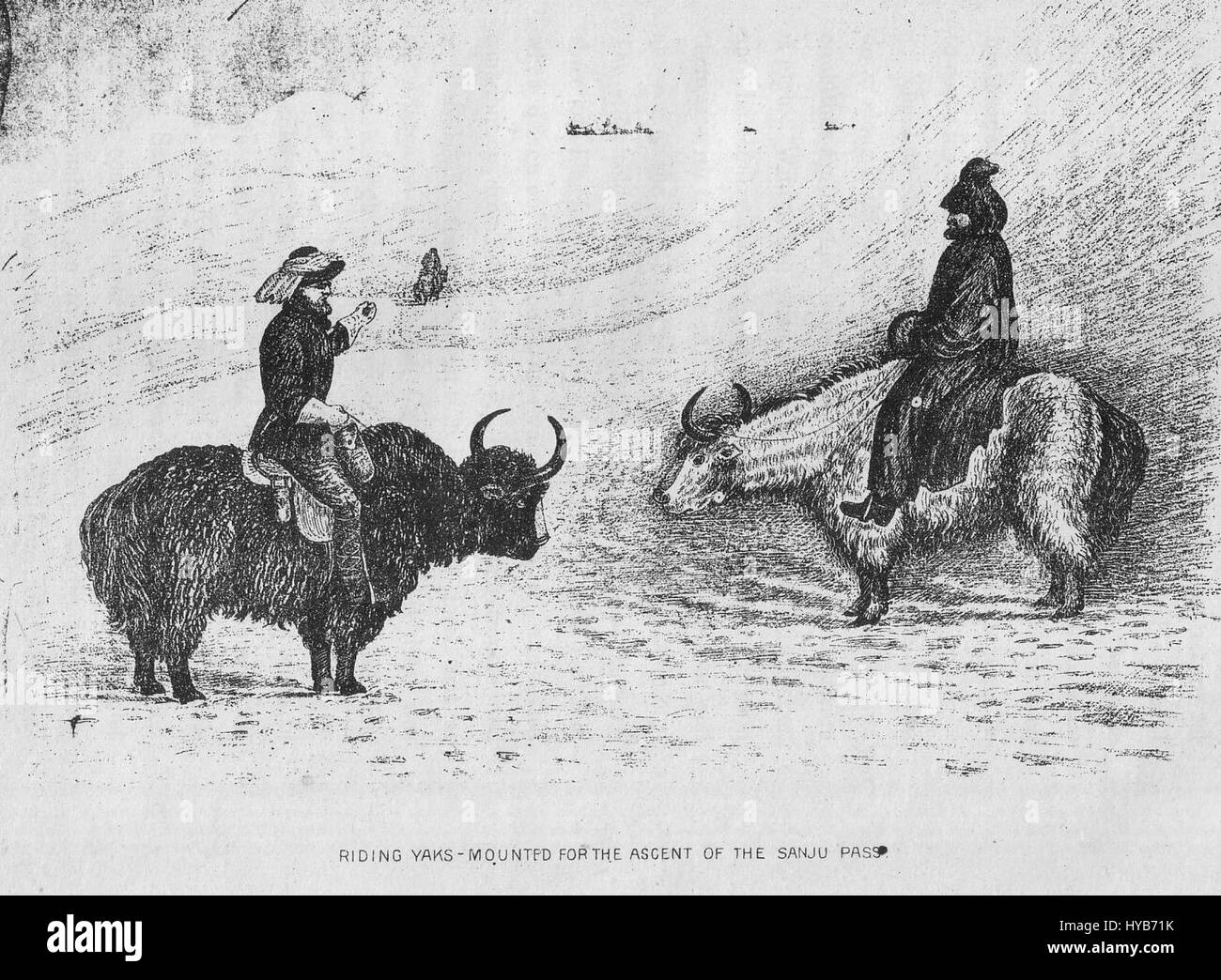 'Riding Yaks' représente la pratique traditionnelle de l'équitation de yaks, une activité culturelle importante dans les régions de l'Himalaya et du Tibet. L'image souligne l'importance des yaks comme animaux de meute et leur rôle dans le transport local et la vie quotidienne. Banque D'Images