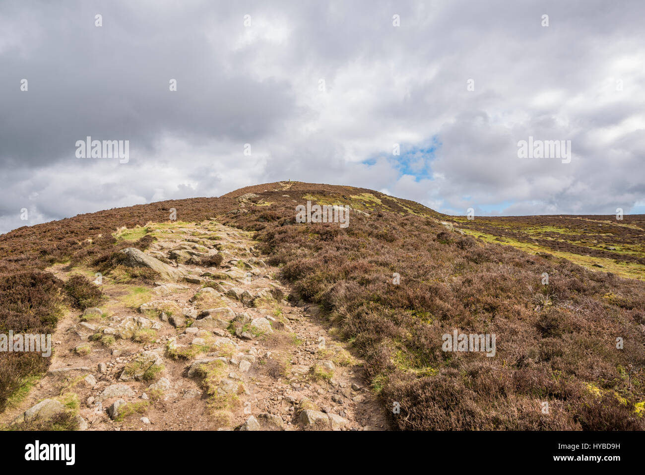 Belle journée de printemps dans le Yorkshire Dales près de Ilkley et Bolton Abbey Banque D'Images