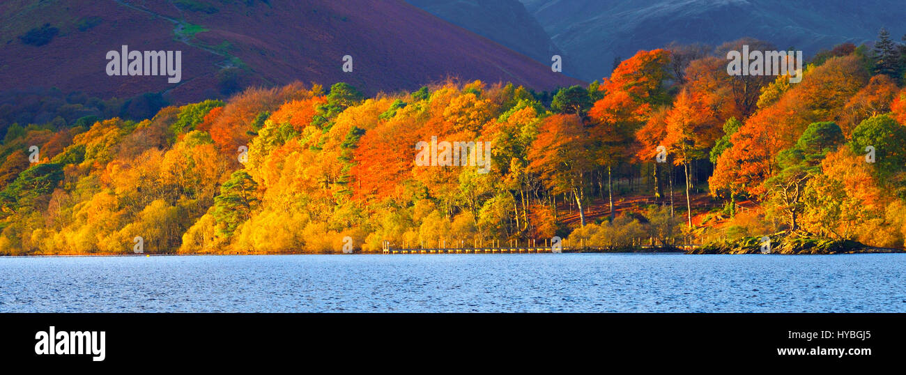 Un flamboiement de couleurs d'automne le long des rives de Derwentwater, Parc National de Lake District, England, UK Banque D'Images
