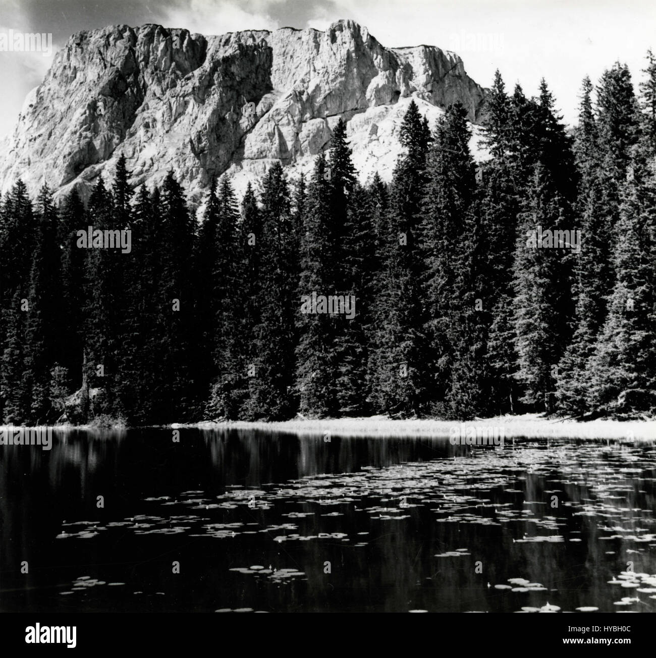 Le lac noir sur la montagne de Durmitor, Zabljak, Montenegro Banque D'Images