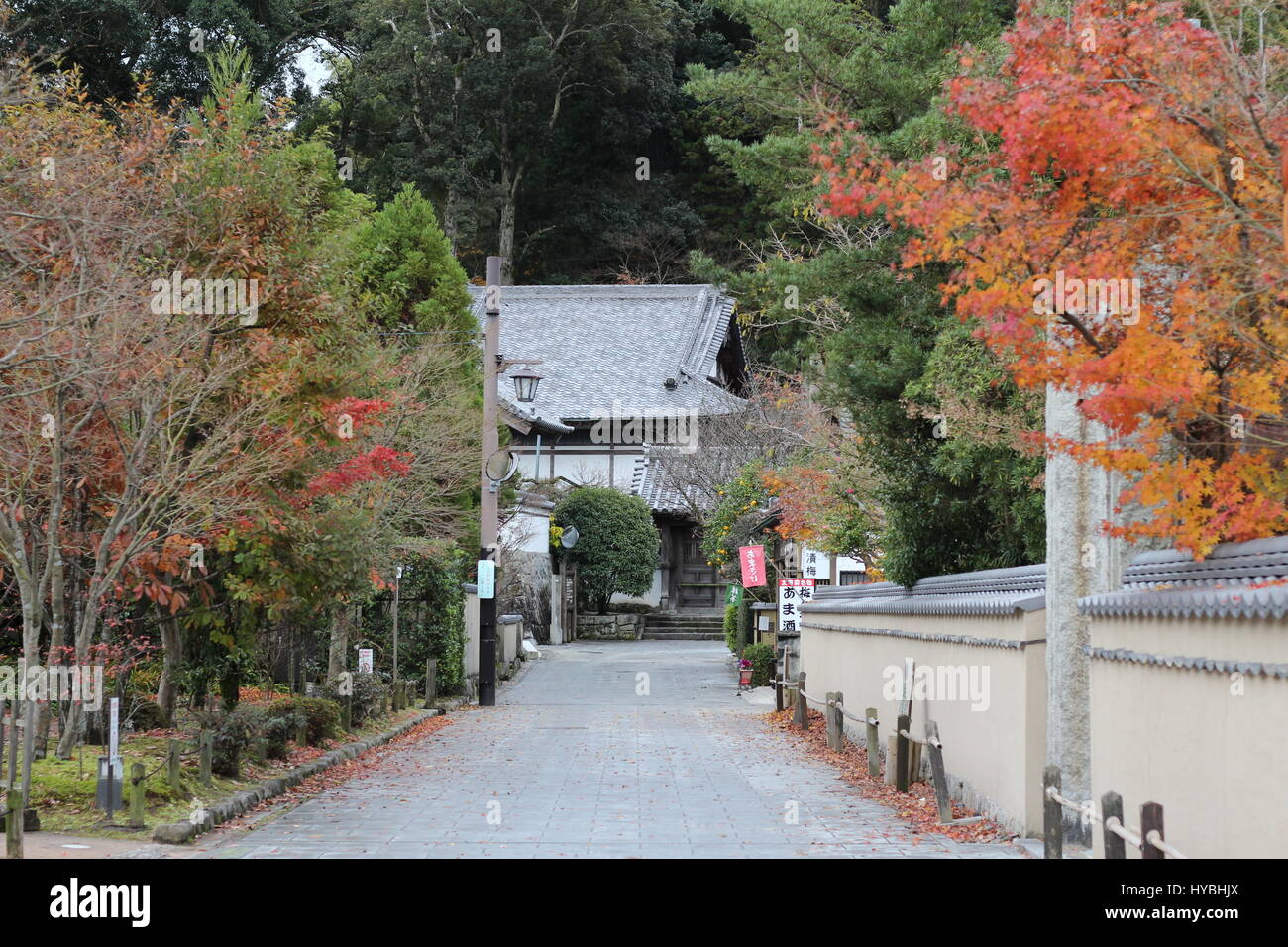 Arbres aux couleurs de l'allée et un aperçu d'une maison traditionnelle japonaise dans la distance Banque D'Images