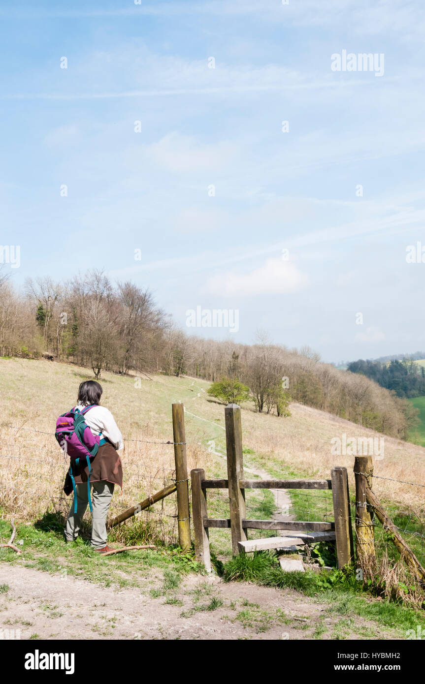 Un marcheur dans les North Downs Way à l'échelle du parc de Gatton Park conçu par Lancelot 'Capability' Brown dans la ceinture verte au sud de Londres. Banque D'Images