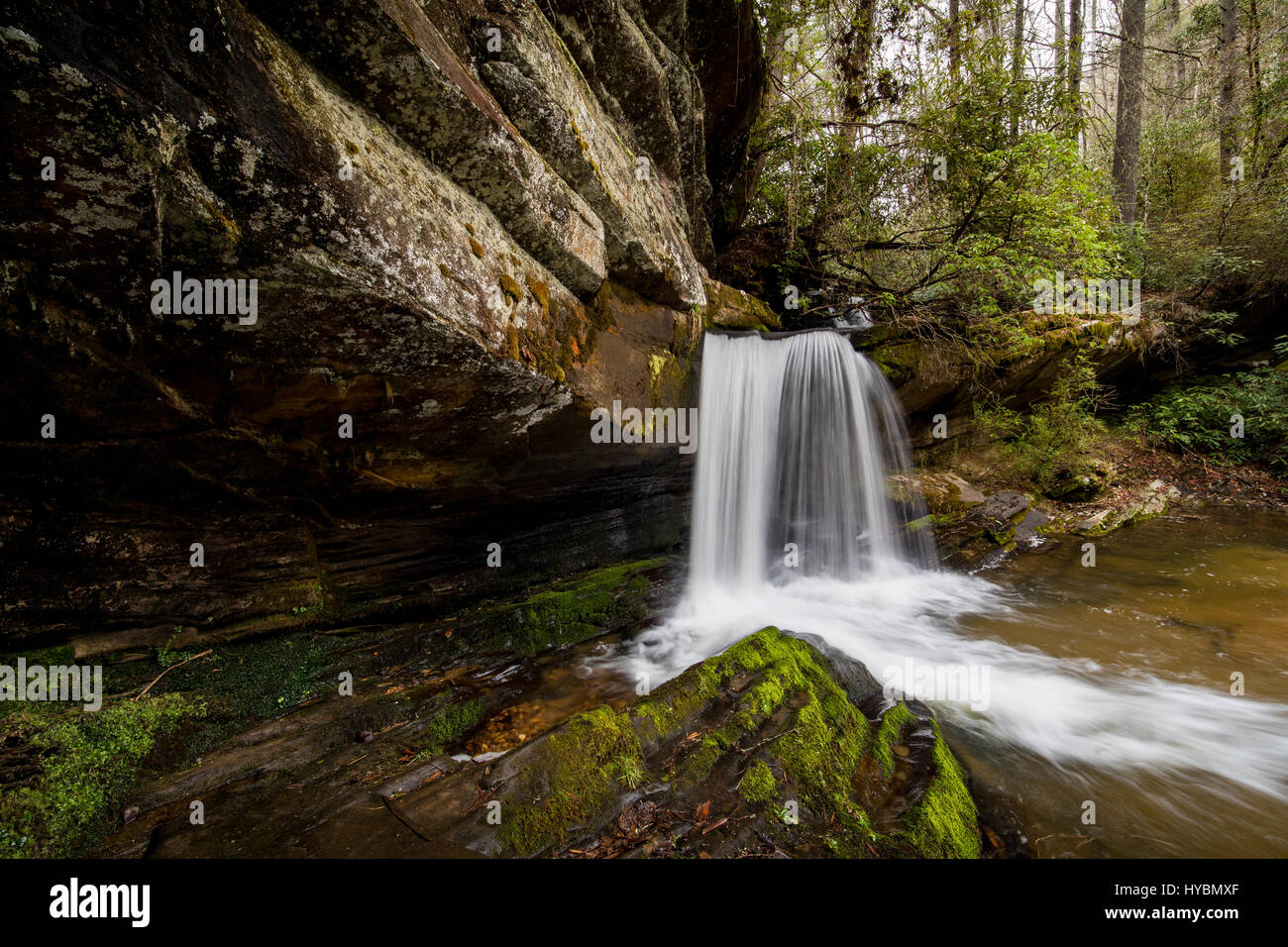 Formation rocheuse de l'incliné à raper Creek Falls à la fin de l'hiver. raper Creek Falls est situé au nord de la Géorgie dans le comté de habersham. Les chutes sont à environ 15 m de hauteur et unique dans l'aspect que le flux est en cours d'exécution sur un plateau rock diagonale avant de tomber dans la piscine ci-dessous. Banque D'Images