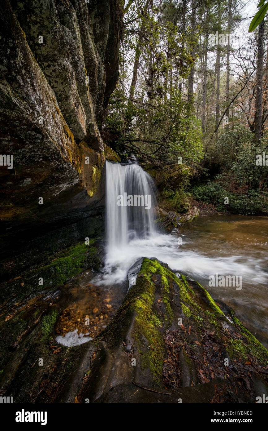 Raper Creek Falls est situé au nord de la Géorgie dans le comté de habersham. Les chutes sont à environ 15 m de hauteur et unique dans l'aspect que le flux est en cours d'exécution sur un plateau rock diagonale avant de tomber dans la piscine ci-dessous. Banque D'Images