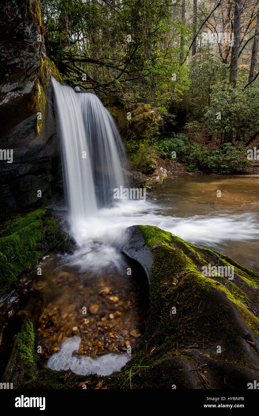 Raper Creek Falls est situé au nord de la Géorgie dans le comté de habersham. Les chutes sont à environ 15 m de hauteur et unique dans l'aspect que le flux est en cours d'exécution sur un plateau rock diagonale avant de tomber dans la piscine ci-dessous. Banque D'Images