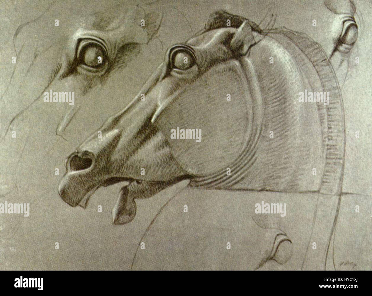 Dessin de benjamin robert haydon Banque de photographies et d’images à ...