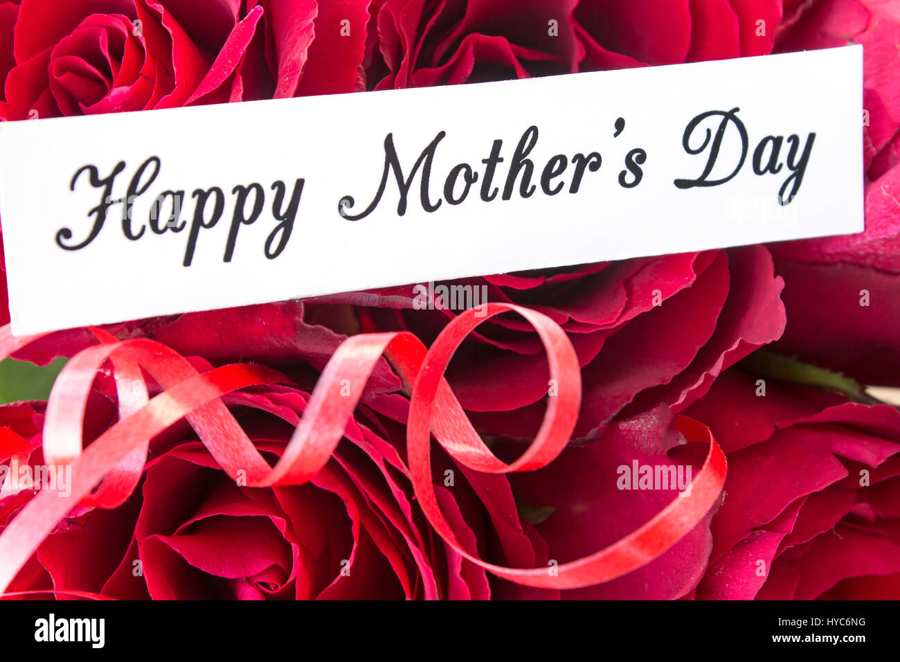 Bonne Fête des mères, carte de souhaits, avec bouquet de roses rouges, Close Up. Banque D'Images