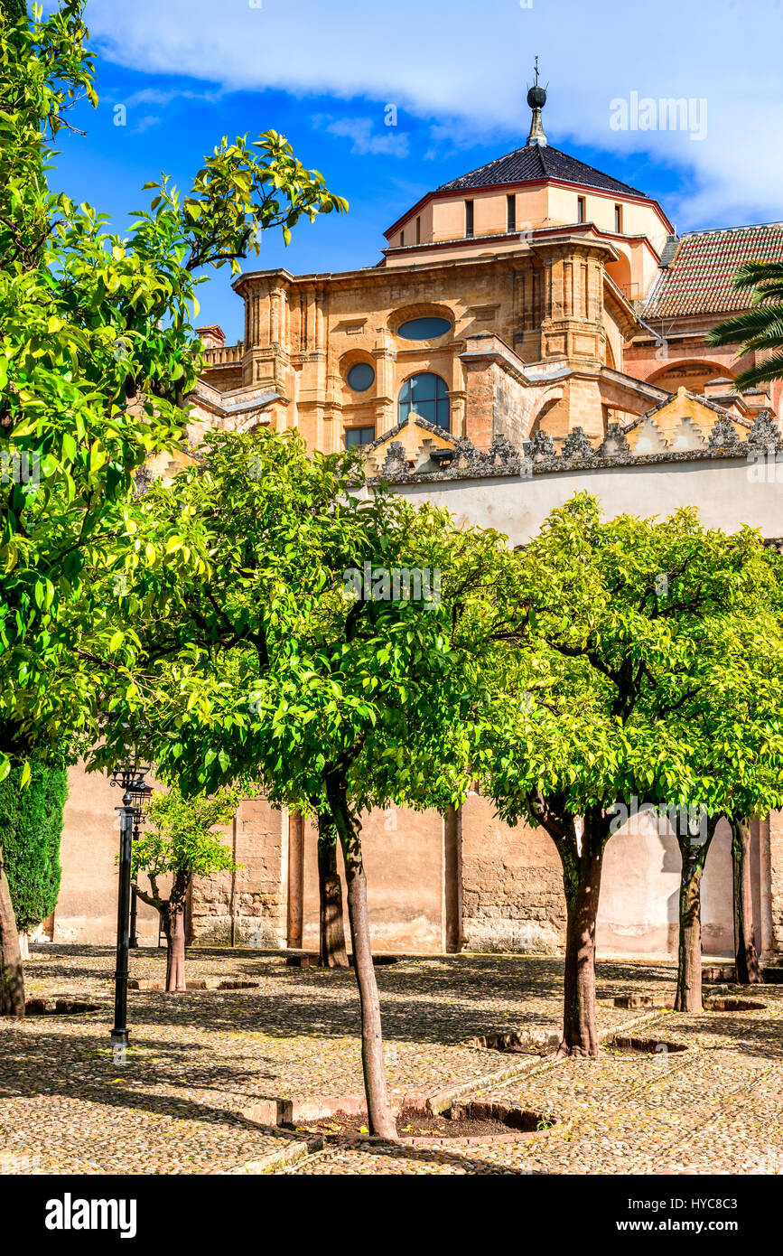 Cordoue, Espagne - Meqzuita, cathédrale, une mosquée islamique médiéval transformé en un chrétien catholique romain, l'Andalousie. Banque D'Images