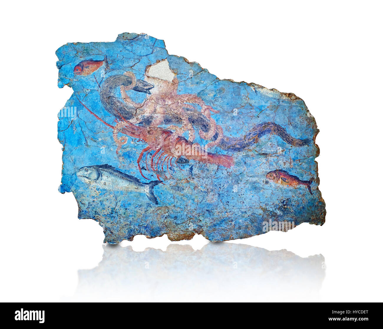 Fresque romaine avec une scène de combat entre le poulpe, le homard et les anguilles, 125-150 AD. Mosaico (marina da porto fluviale faune di San Paolo), Musée national de r Banque D'Images