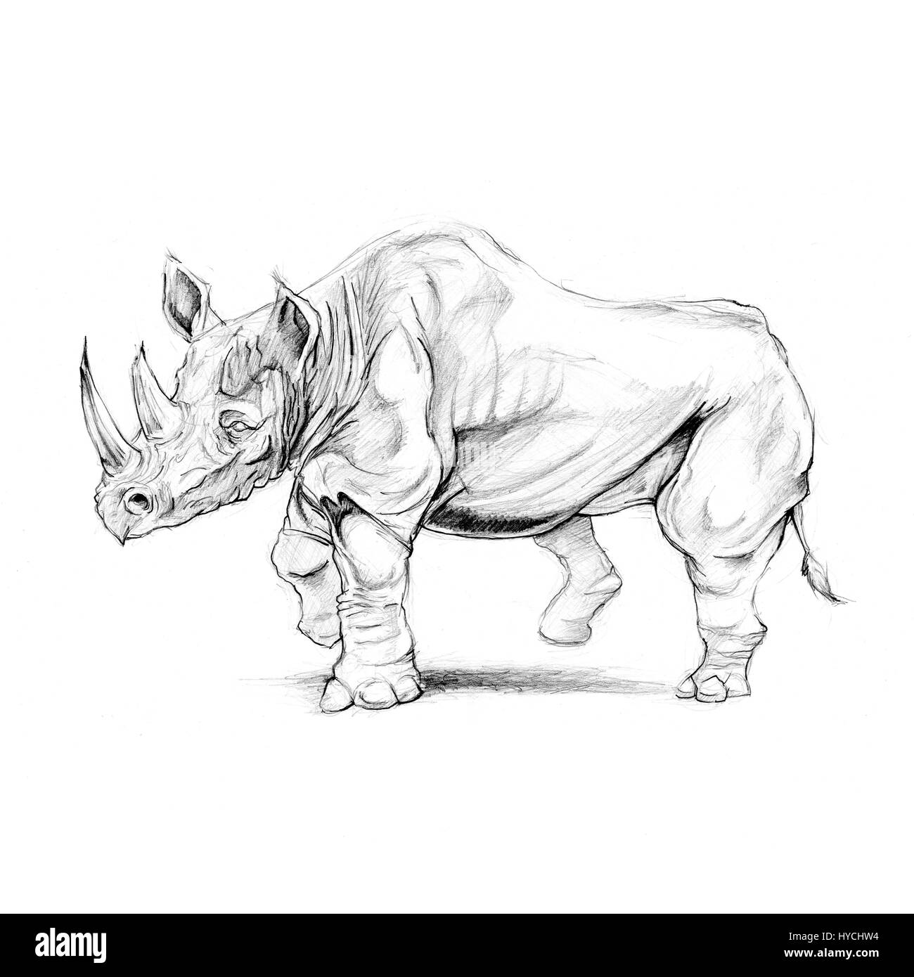 Animaux rhinoceros dessin croquis. Banque D'Images