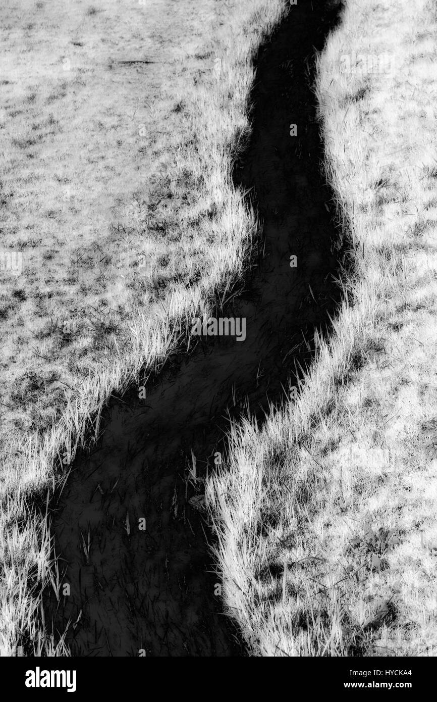 Un petit ruisseau dans un pré vert Banque D'Images