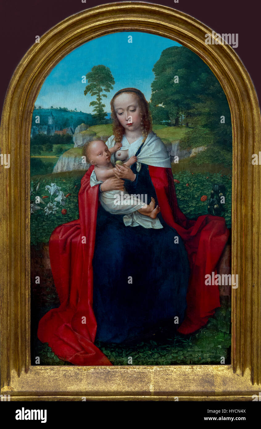 Vierge à l'enfant dans un paysage, par Gérard david, vers 1520, musée Boijmans van Beuningen, Rotterdam, Pays-Bas, Europe Banque D'Images