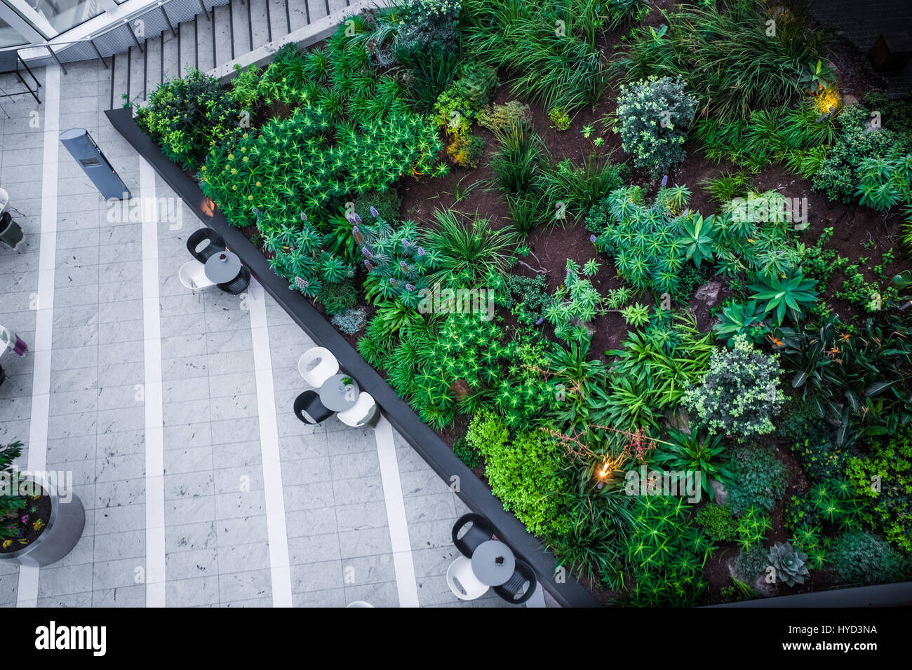Le patio et le café région du ciel jardins du bâtiment de talkie-walkie, 20 Fenchurch Street, City of London, en Angleterre. Banque D'Images