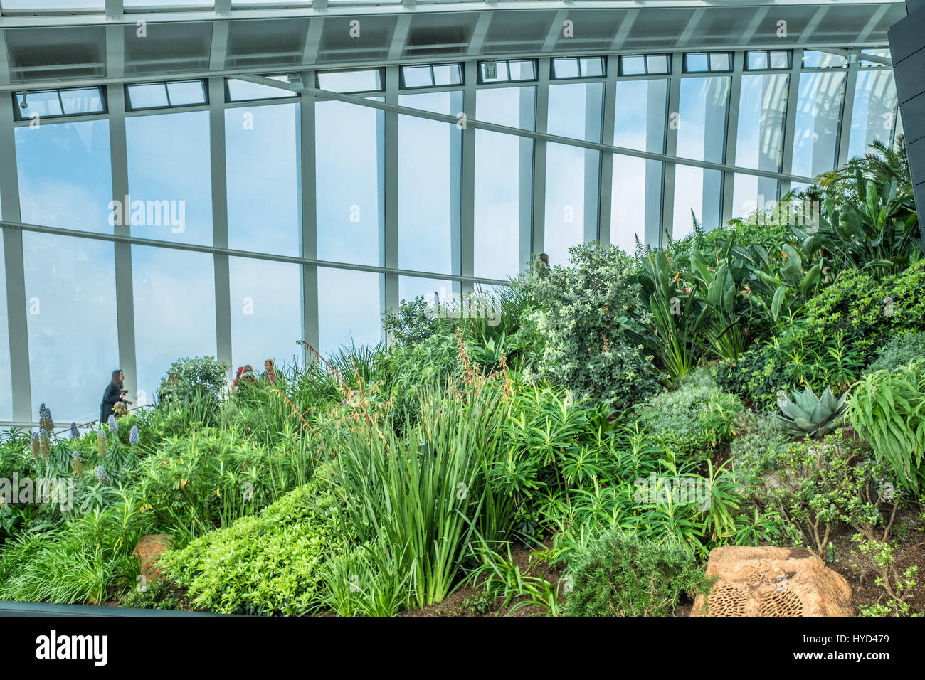 Escalier le long du côté de la Sky Gardens au bâtiment de talkie-walkie, 20 Fenchurch Street, City of London, en Angleterre. Banque D'Images