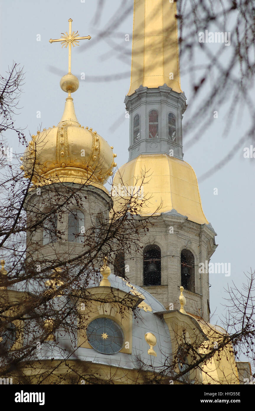 Vue sur les toits d'or de la Cathédrale Pierre-et-Paul, Moscow, Russie Banque D'Images