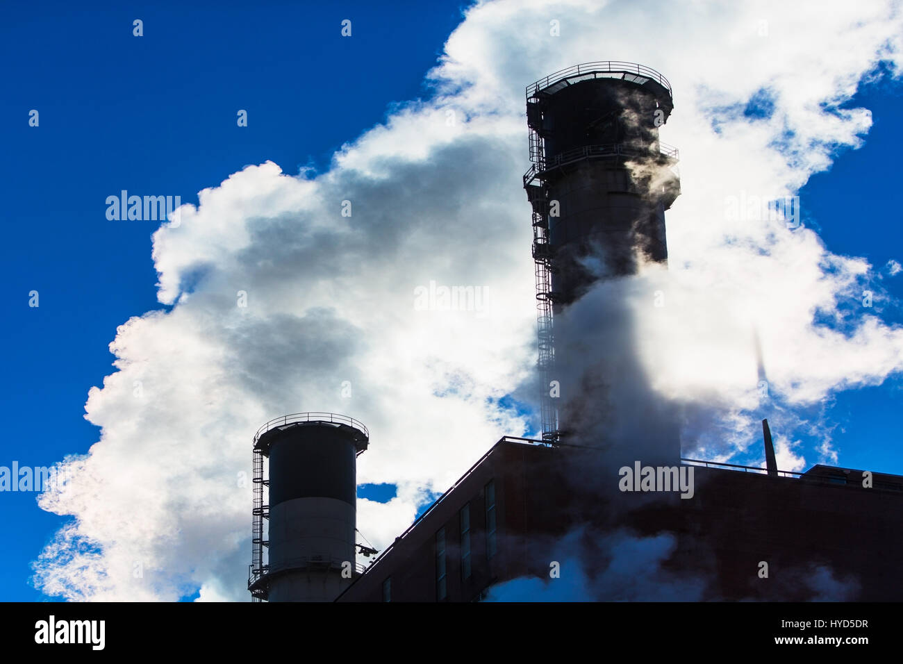 Fumage dégageant de la fumée Banque D'Images