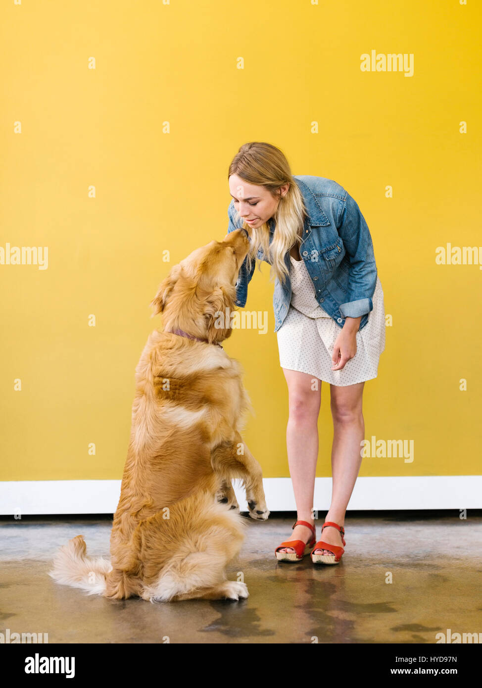 Jeune femme jouant avec Golden Retriever Banque D'Images