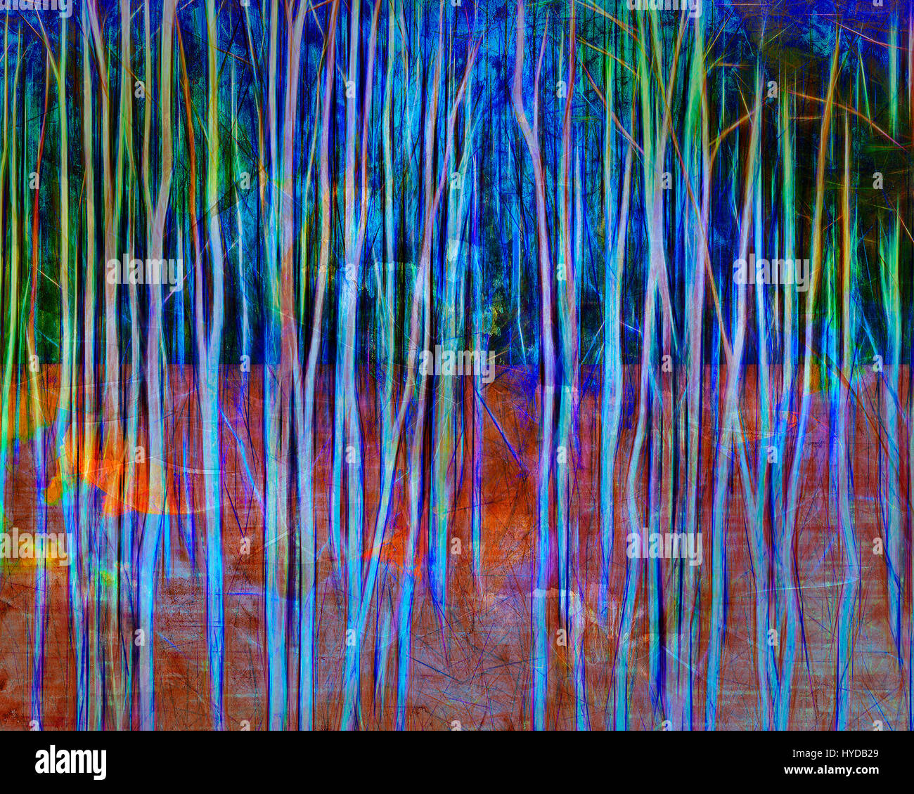 L'ART MAGIQUE DGITAL : Aspen Woods Banque D'Images