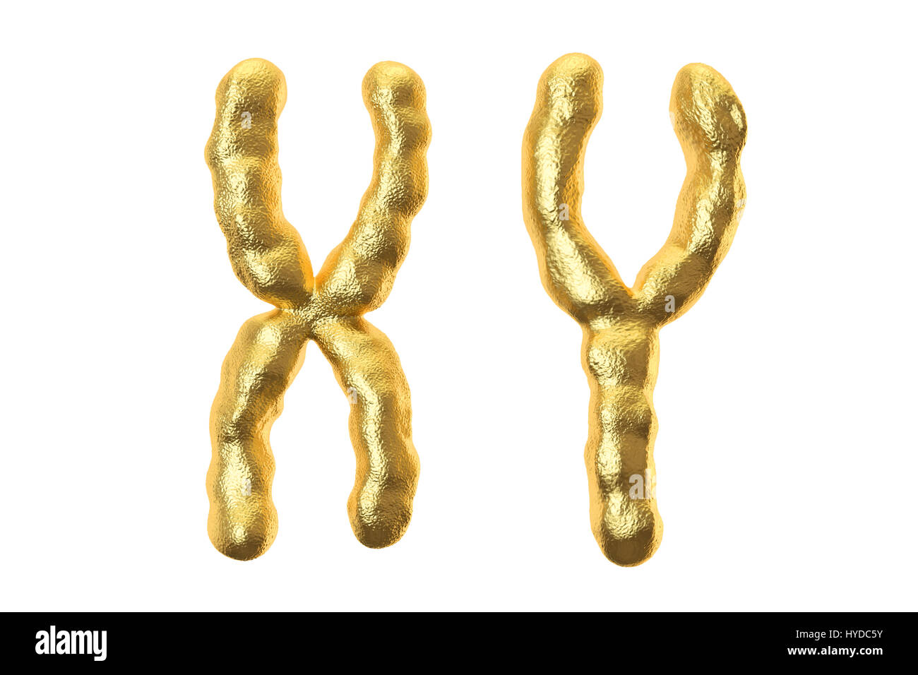 Les chromosomes X et Y, 3D Rendering isolé sur fond blanc Banque D'Images