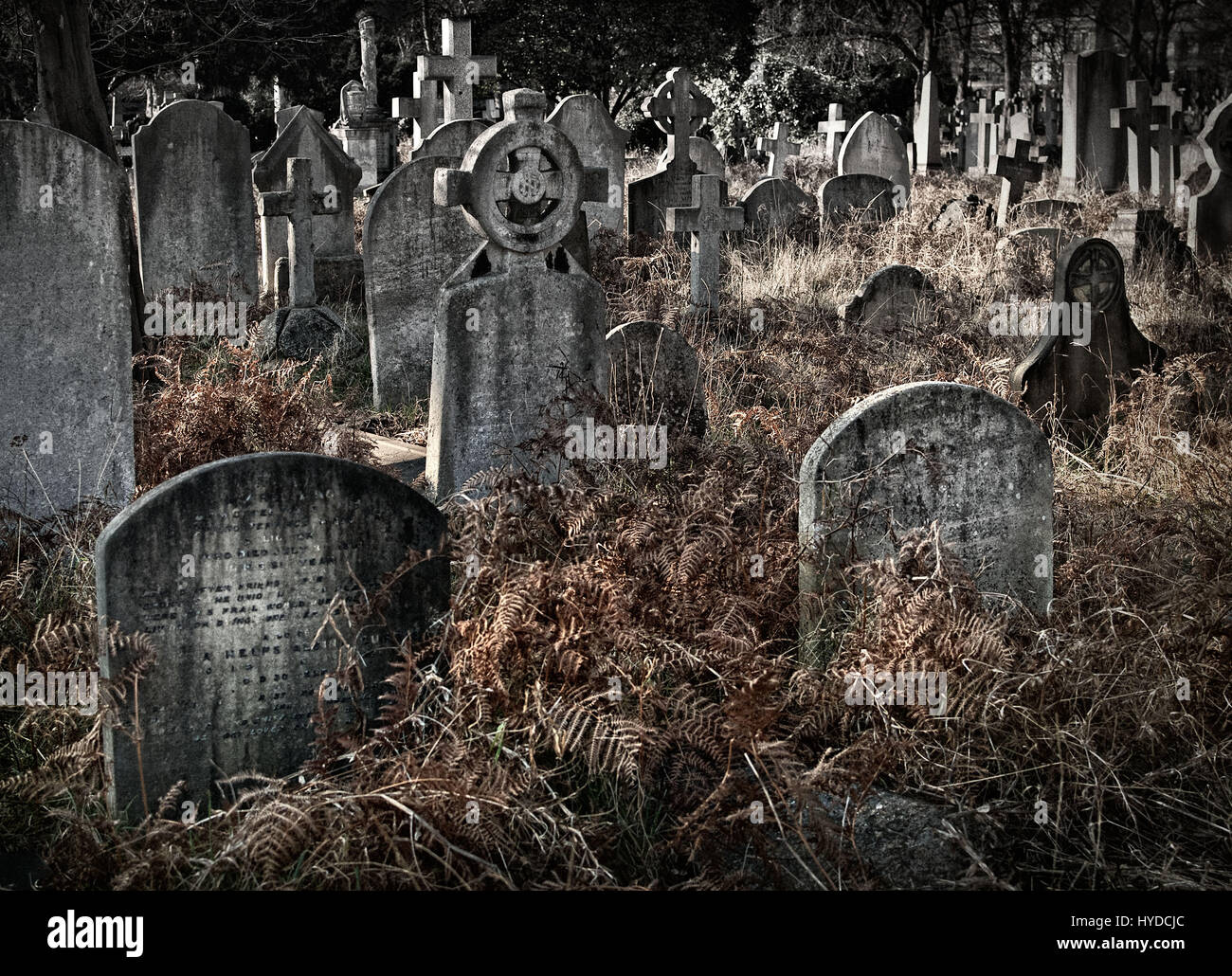 Spooky vieux cimetière surpeuplé en automne / Fall avec de nombreuses pierres tombales et traverse Banque D'Images