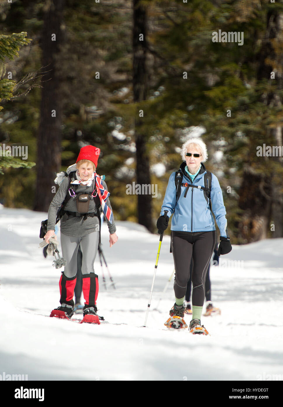 Deux femmes âgées retour d'un voyage en raquettes sur le dernier jour d'opération pour le parc olympique de Whistler. Banque D'Images