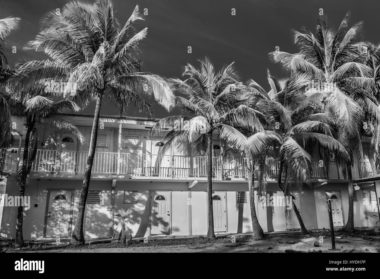 Grand Cayman, îles Caïmans, bâtiment vacant de deux étages de style des Caraïbes, à l'ombre des palmiers Banque D'Images