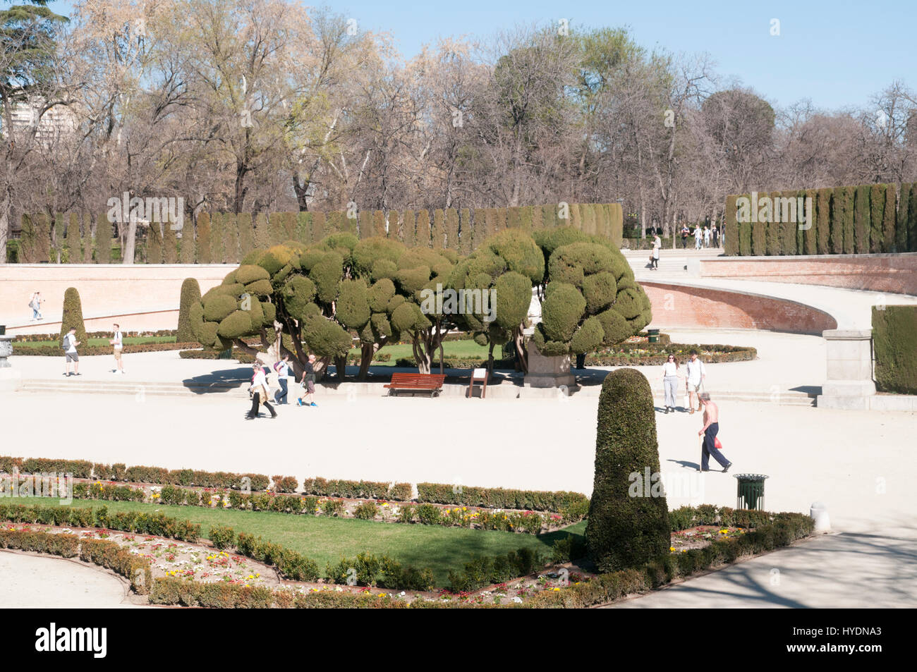 Taillez les arbres à nuages parc Retiro, Madrid, Espagne Banque D'Images