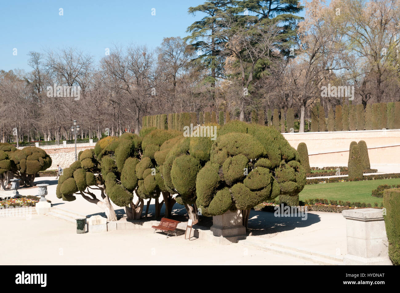 Taillez les arbres à nuages parc Retiro, Madrid, Espagne Banque D'Images