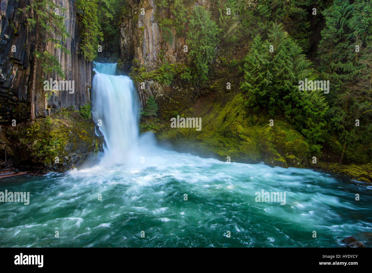 Toketee Falls est l'un des plus célèbres chutes d'eau dans l'ensemble de l'Oregon, réputée pour la formation d'orgues basaltiques gracieux l'encadrement de deux chutes. Banque D'Images
