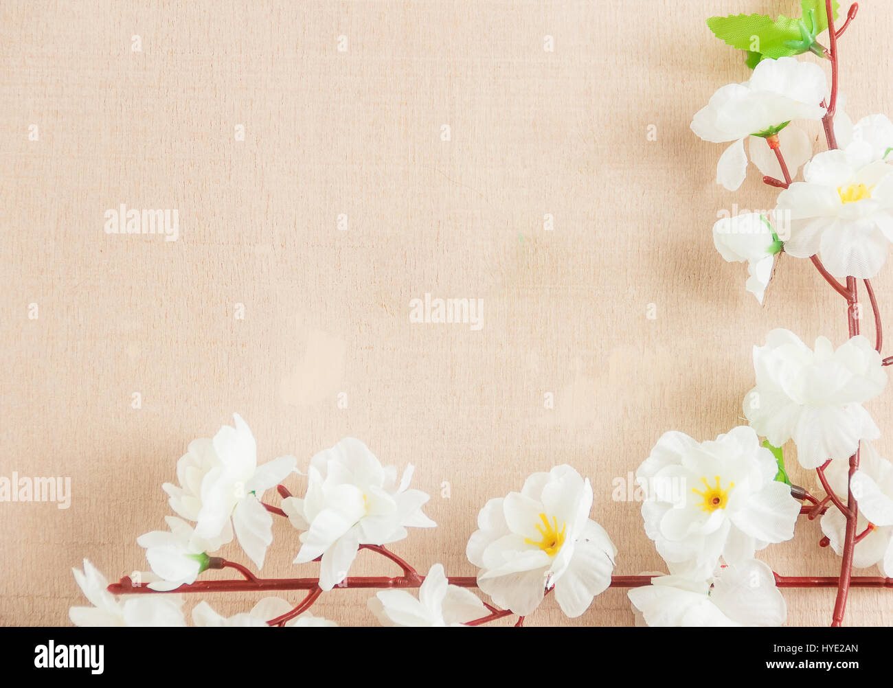 Image de fleurs de printemps sur un sol en bois ,avec un espace réservé au texte ,printemps ou thème d'été Banque D'Images