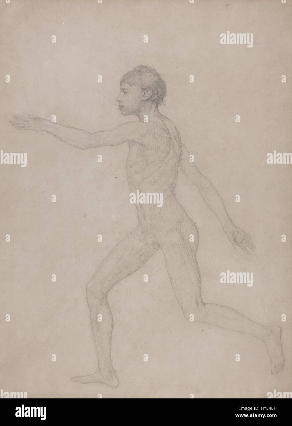 « A comparative Anatomical exposition » de George Stubbs contraste la structure anatomique du corps humain avec celle d'un tigre et d'autres animaux. Ce travail met en évidence l'intérêt scientifique de Stubbs pour l'anatomie et son approche pionnière de l'étude de la biologie comparée. Banque D'Images