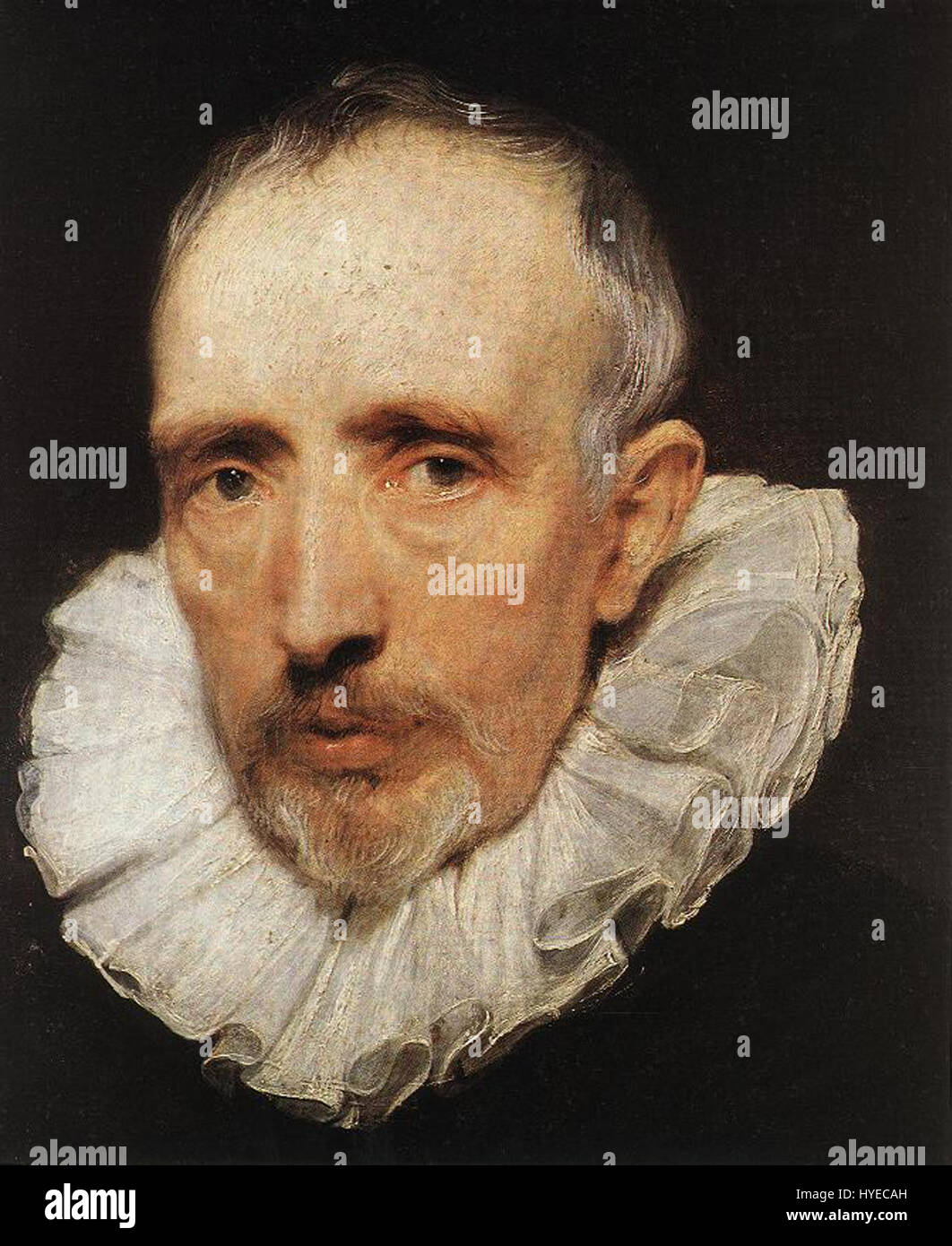 Anthony Van Dyck Cornelis van der Geest WGA07391 Banque D'Images