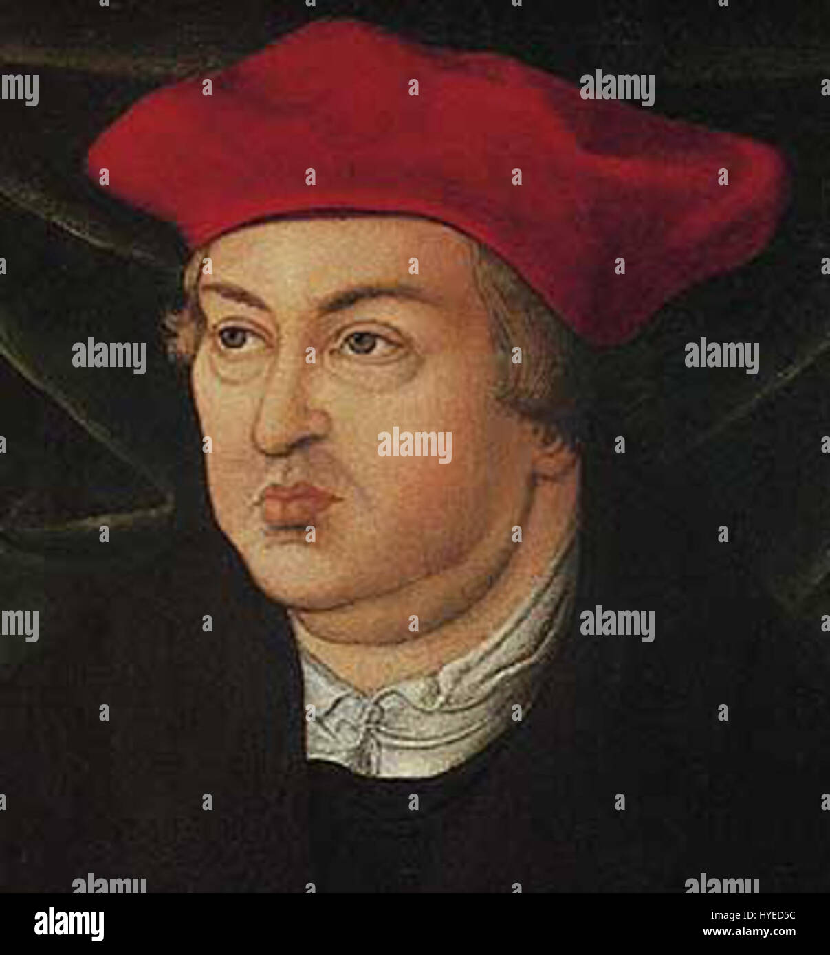 Cette œuvre de Lucas Cranach l'ancien dépeint le portrait d'Albrecht Brandebourg, figure importante de la Renaissance. La peinture reflète le style détaillé et les éléments symboliques typiques du travail de Cranach. Banque D'Images